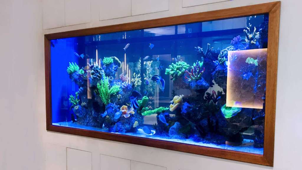 water wonder aquarium