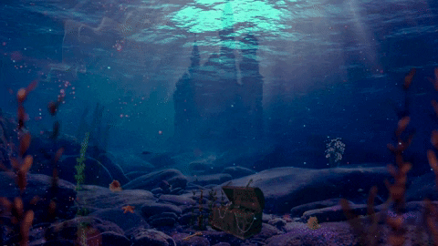 Aquarium design by Water Wonders company
