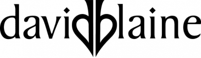 Stylized text of 'davidblaine' logo