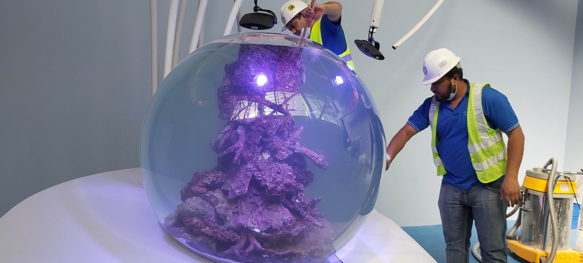 Spherical Live Coral Tank at Expo 2020 Dubai: Engineering a Living Reef for the Terra Pavilion 7 Technicians commissioning the spherical live coral tank with purple actinic lighting at Expo 2020 Dubai
