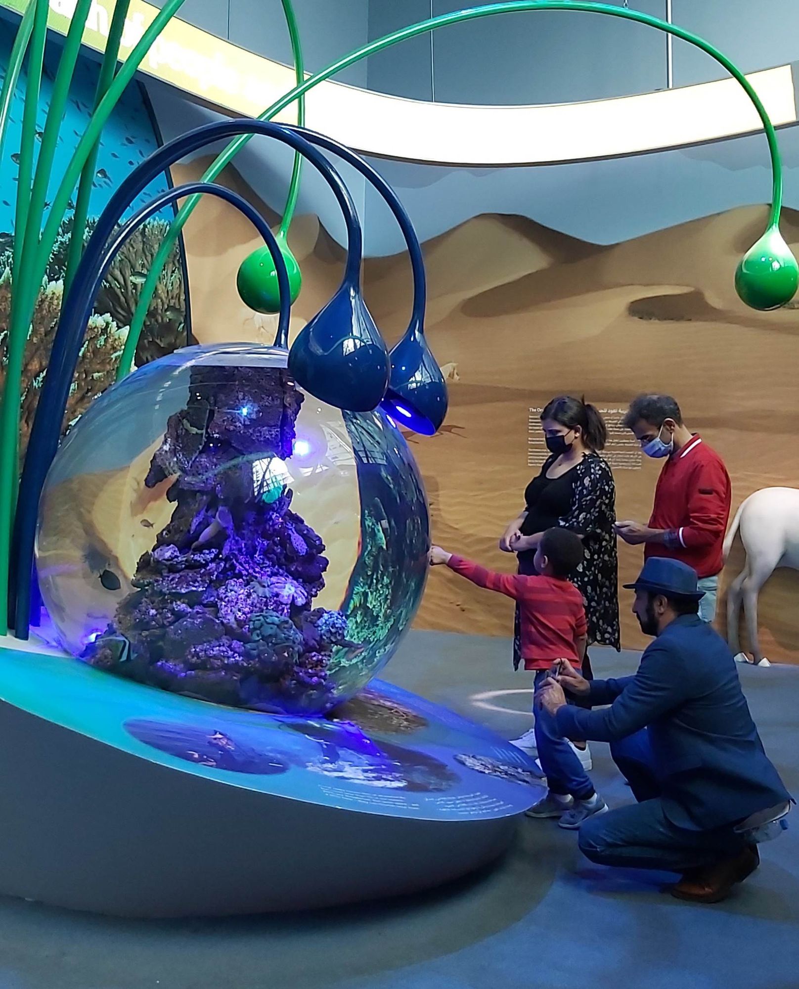 Spherical Live Coral Tank at Expo 2020 Dubai: Engineering a Living Reef for the Terra Pavilion 10 Visitors gathering around the spherical live coral tank at the Terra Sustainability Pavilion