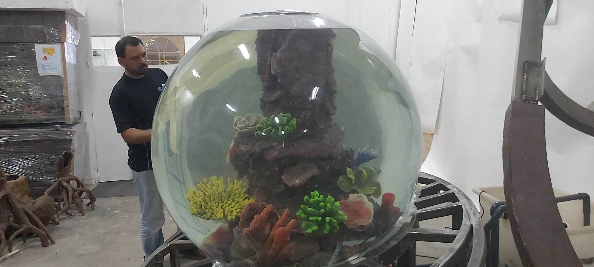 Spherical Live Coral Tank at Expo 2020 Dubai: Engineering a Living Reef for the Terra Pavilion 3 Spherical coral tank with live reef display being prepared in the Water Wonders workshop in Dubai