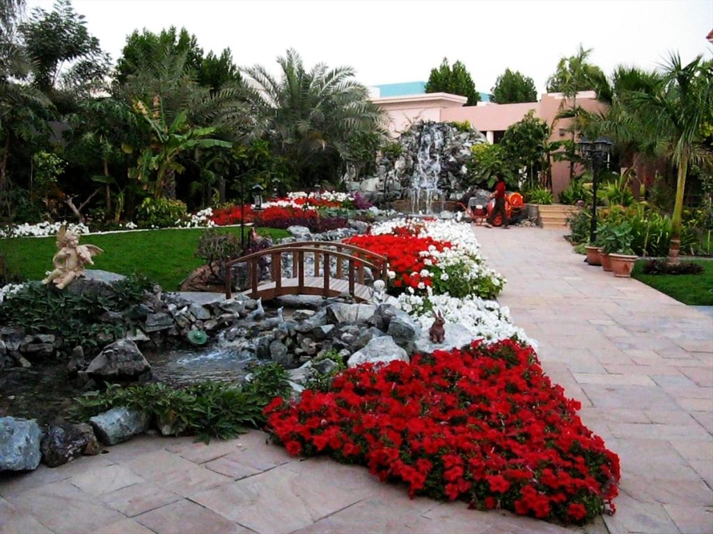 Koi Pond vs Fish Pond vs Reflection Pool: Which to Build 2 Garden pond with a bridge and flower beds
