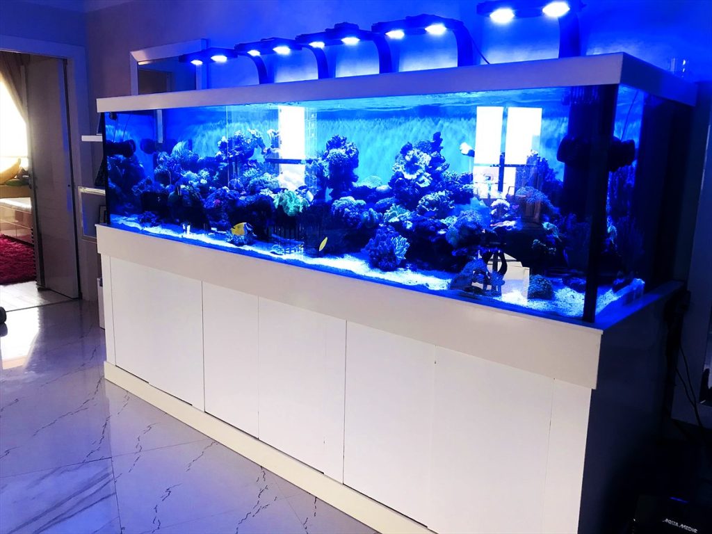 Sustainable Reef Aquariums in the UAE: A Buyer's Guide 2 Long marine reef aquarium on a white cabinet