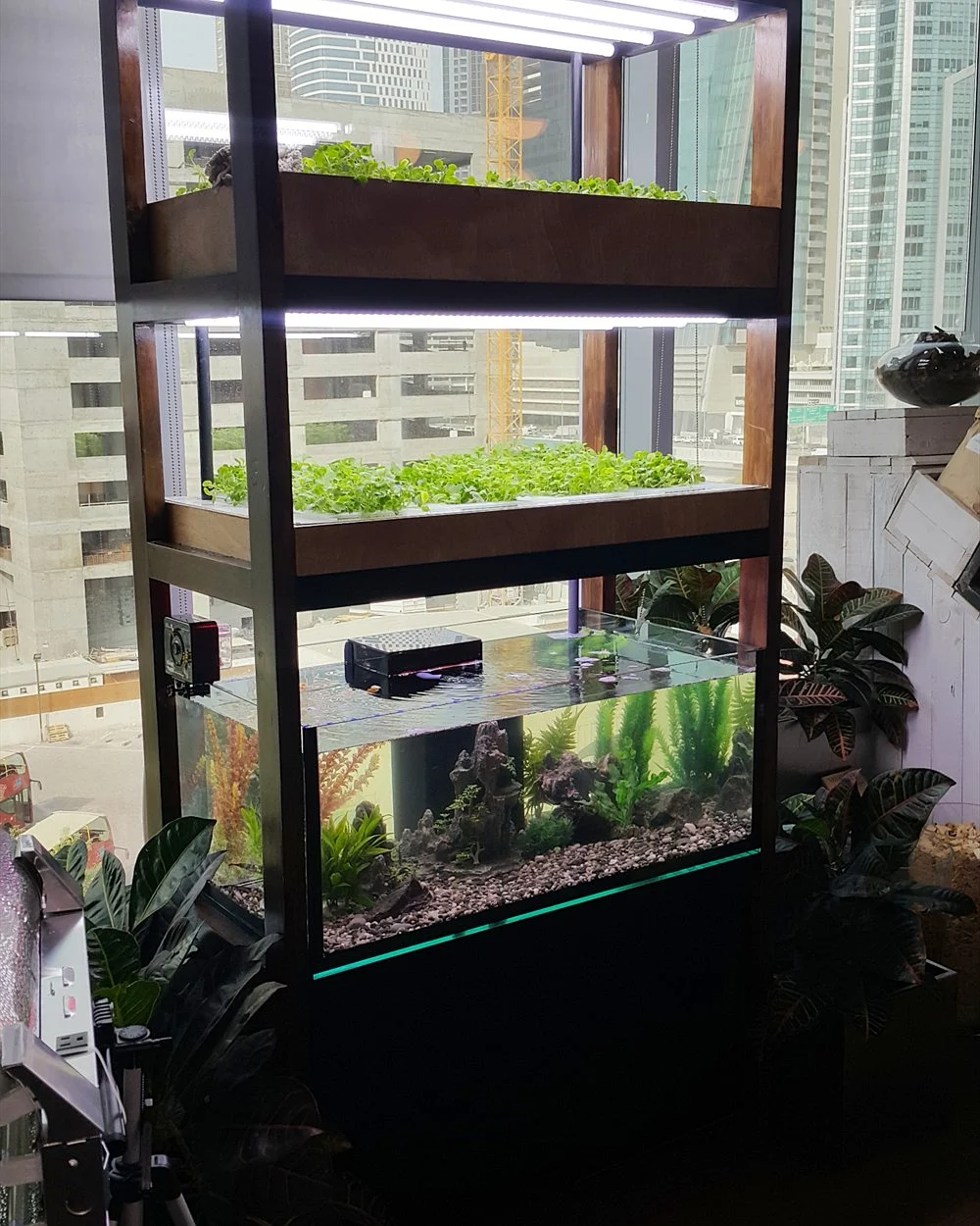 Aquaponics for Schools & CSR Projects in the UAE 1 Aquaponics tower with a fish tank and grow lights