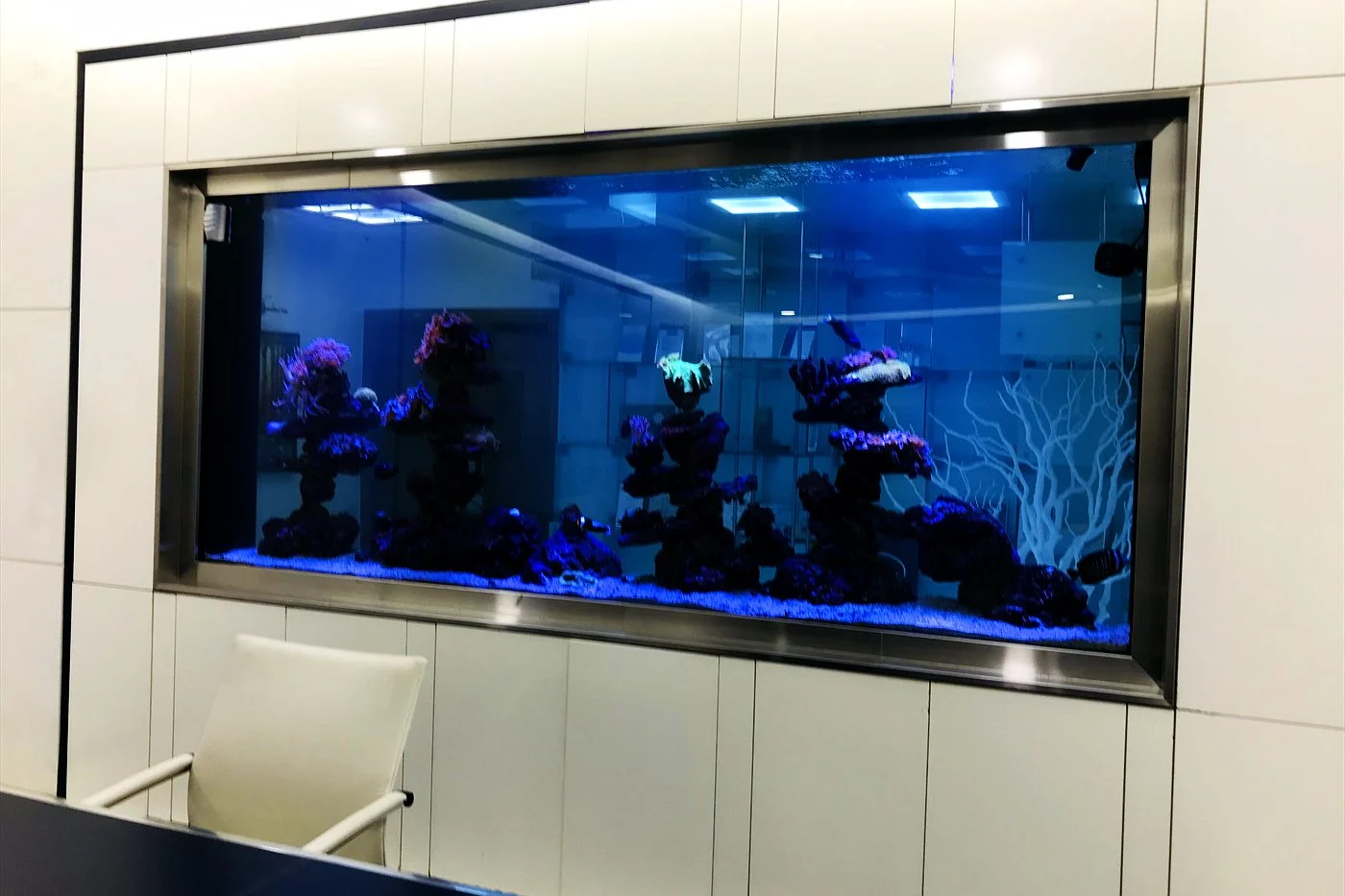 Boardroom with a large reef aquarium behind a steel frame