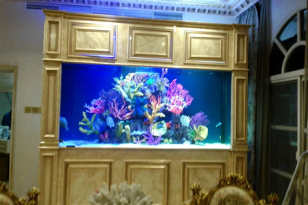Majlis Aquarium Design: A Centrepiece for Emirati Homes 2 Built-in aquarium inside a carved timber cabinet
