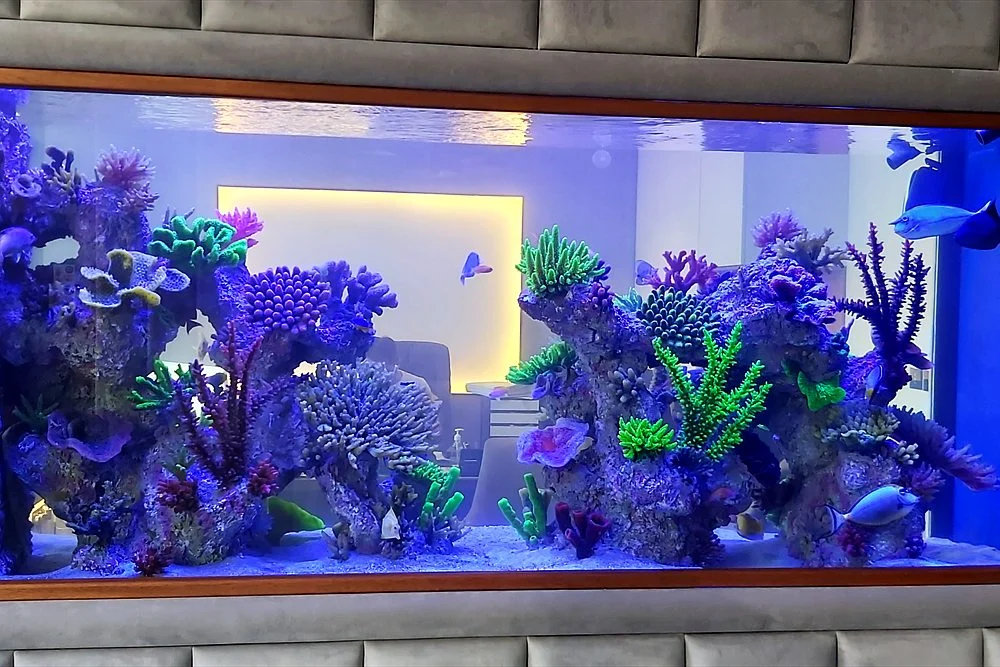 Wall Aquarium Ideas for Dubai Villas: Built-In, Divider and Under-Stair 1 Built-in aquarium with a grey fabric surround