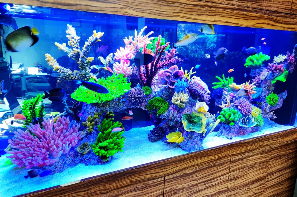 Aquarium LED Lighting Guide: Reef, Planted & Display 1 Colourful saltwater reef aquarium under blue LED lighting