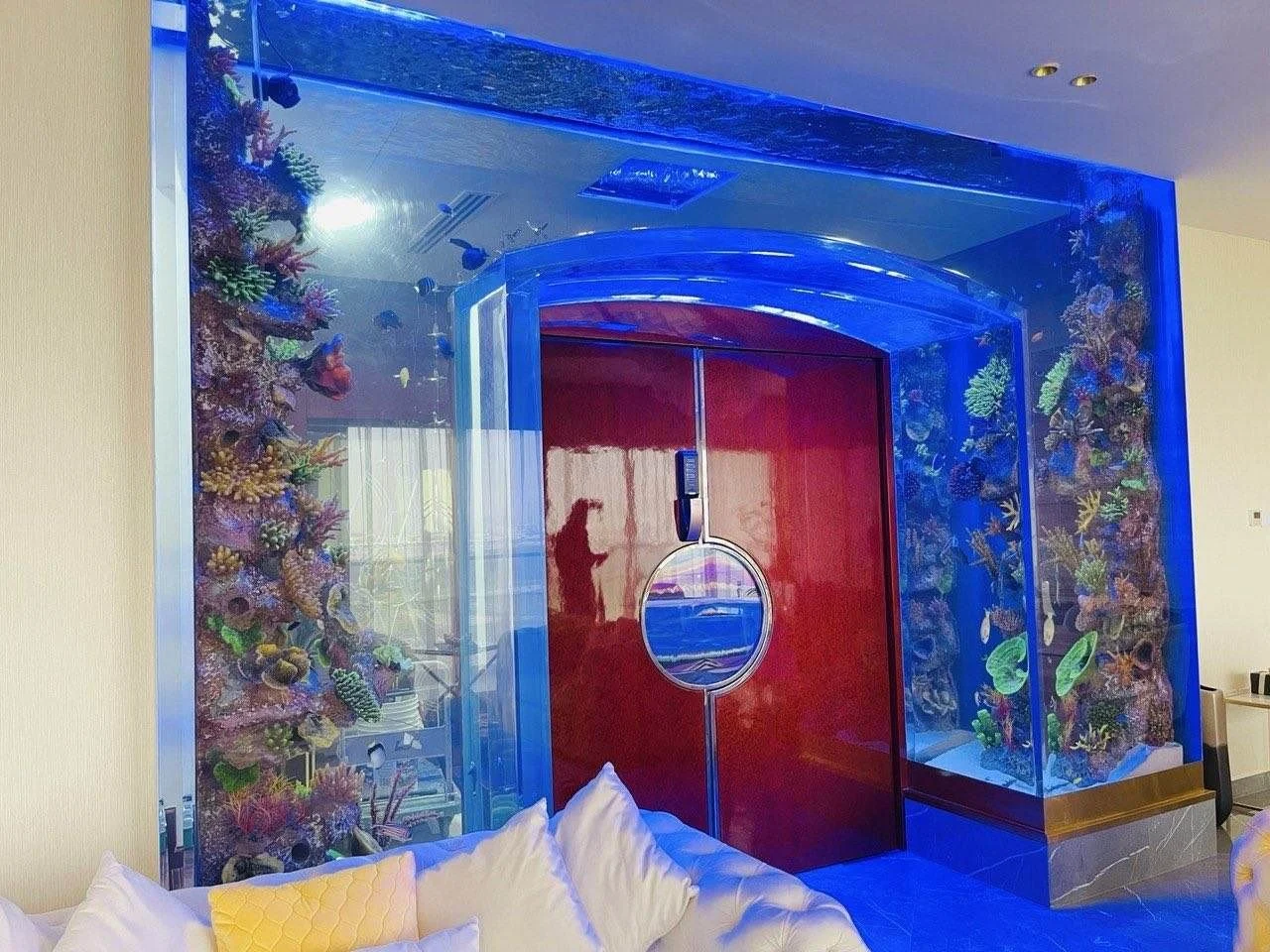 Custom gate aquarium framing a red entrance door with a blue frame and coral décor by Water Wonders