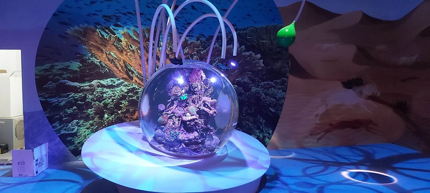 Spherical live coral tank on a circular plinth at the Terra Sustainability Pavilion, Expo 2020 Dubai