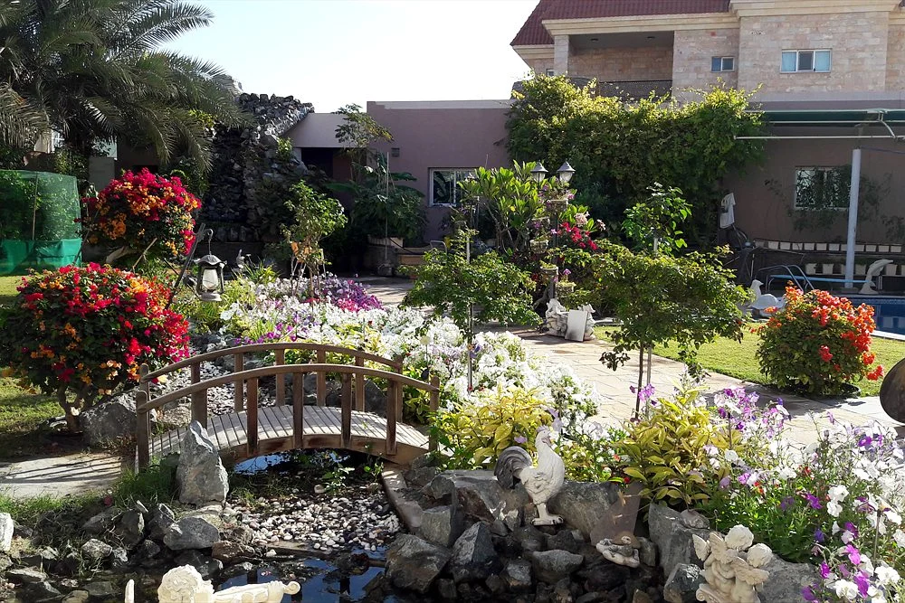 Koi Pond Design Ideas for Dubai Villas: Modern, Japanese and Raised 2 Flower garden with a small bridge over a stream in the UAE