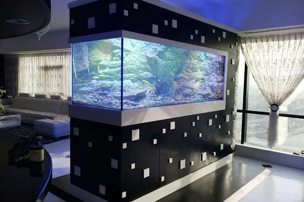 Aquascaping in Dubai: Planted and Rock Layouts for Freshwater Aquariums 1 Freshwater aquarium set into a black feature wall