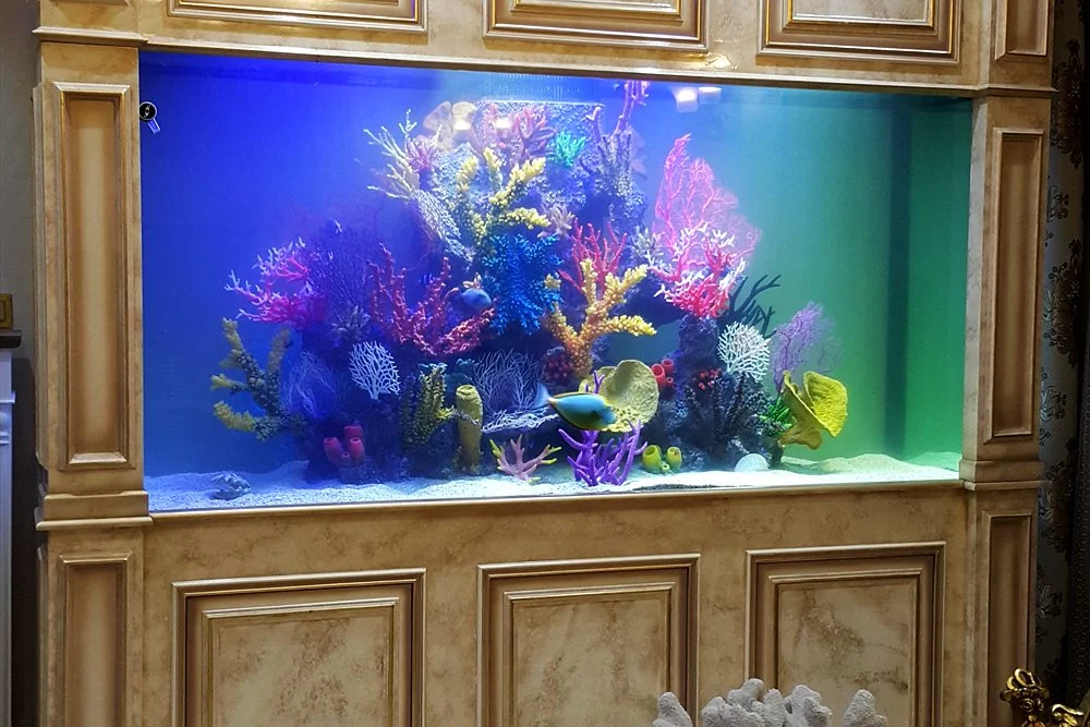Majlis Aquarium Design: A Centrepiece for Emirati Homes 1 Gold-framed majlis aquarium in a classic interior