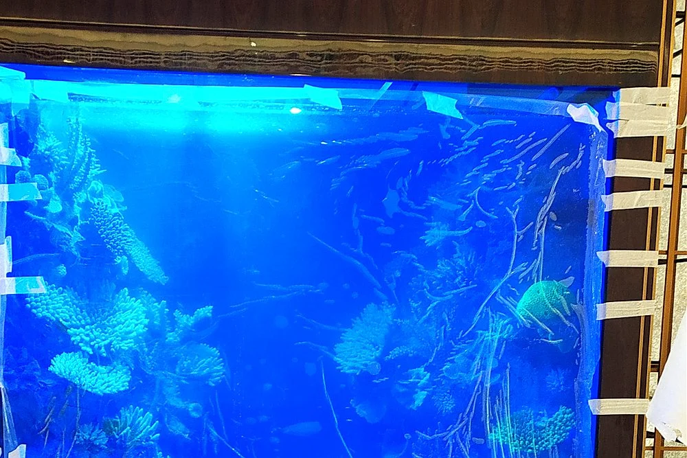Custom Aquarium Installation Process in Dubai, Step by Step 2 Illuminated aquarium wall during final installation