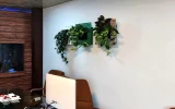Green wall design and installation