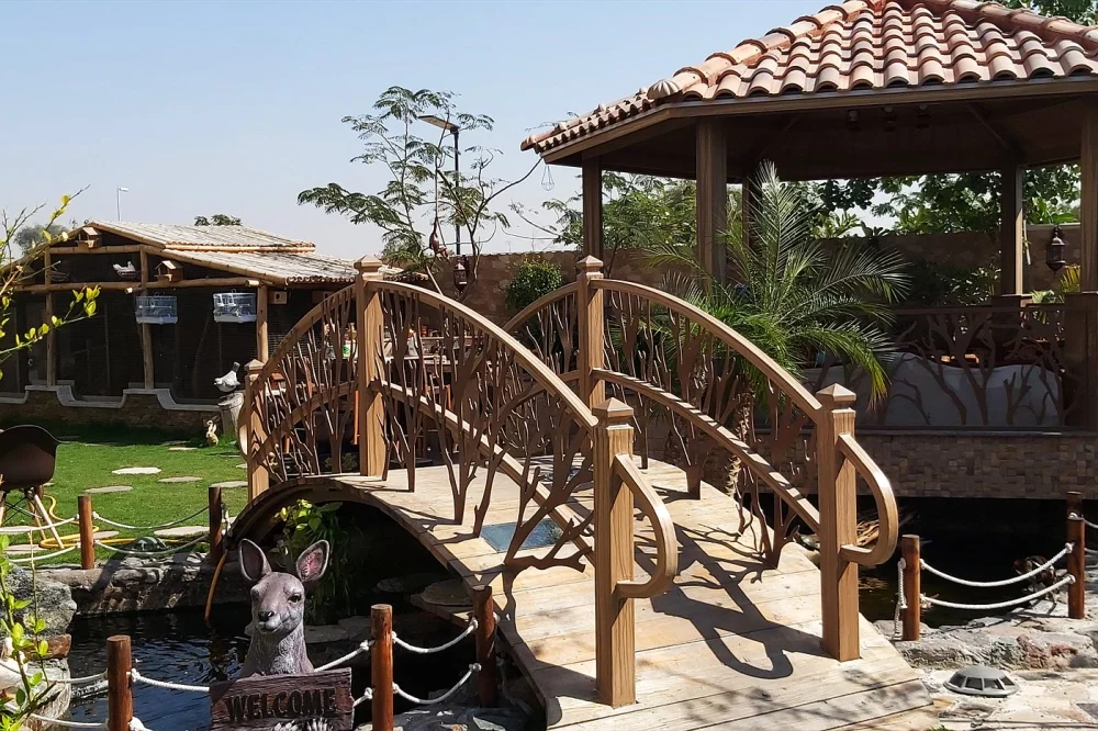 Buying Koi in the UAE: Varieties, Quarantine & Health 2 Koi pond with an arched wooden bridge and gazebo in a villa garden