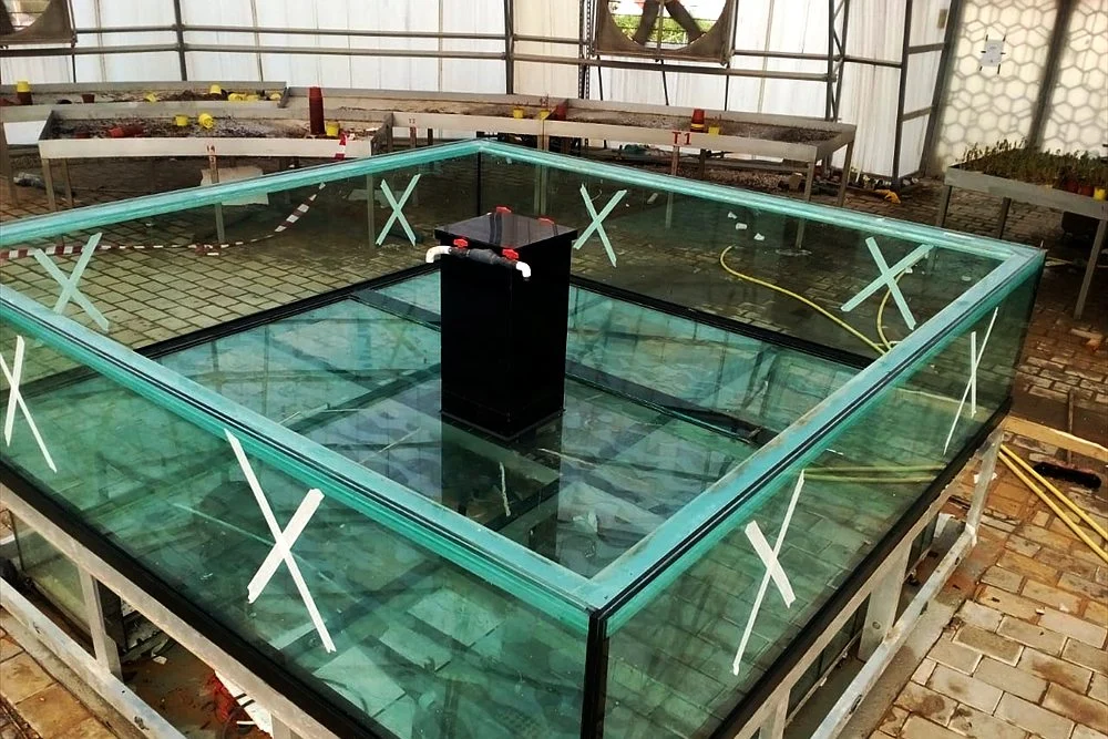 Aquaponics in the UAE: How Systems Work and What They Cost 2 Large glass fish tank built inside a rooftop greenhouse