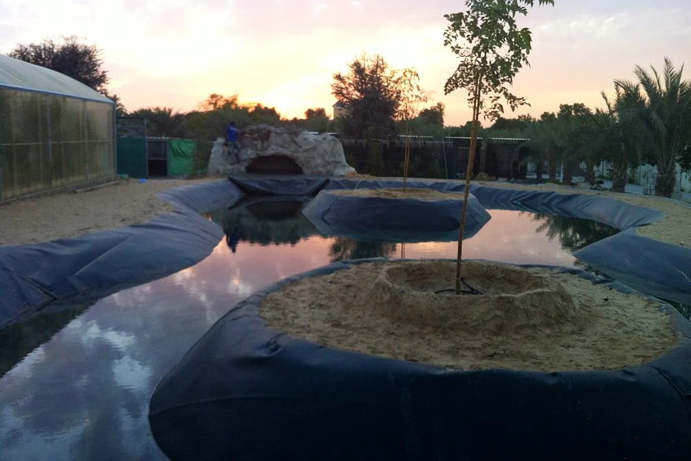 Koi Pond Filter Systems: Bottom Drains, Drum Filters, Bio Media and UV 1 Large lined pond with a planted island at sunset