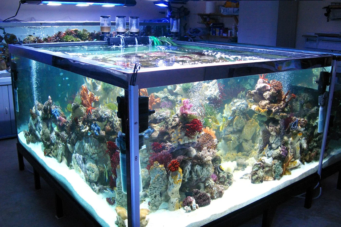Large reef aquarium with an open top and life-support equipment
