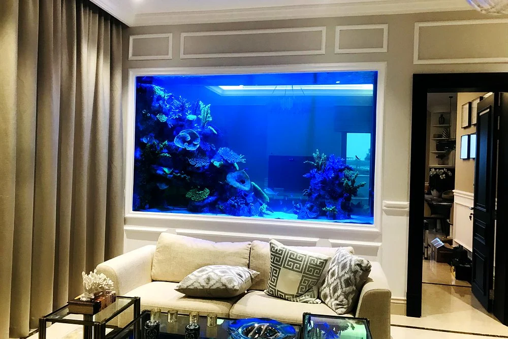 Wall Aquarium Ideas for Dubai Villas: Built-In, Divider and Under-Stair 2 Living room with a built-in reef aquarium