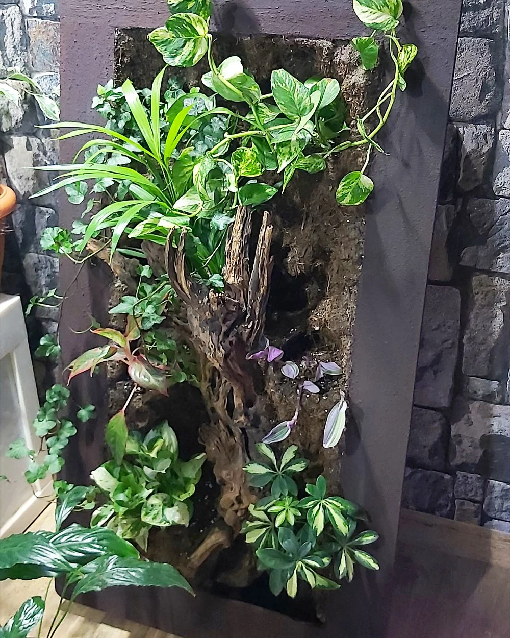 Green Wall Maintenance in the UAE: Monthly Care Guide 2 Living wall planter with driftwood on a stone feature wall