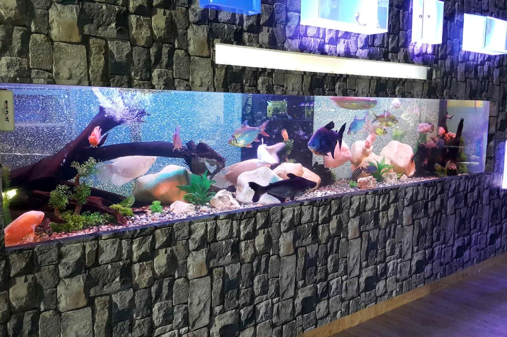 3D Aquarium Backgrounds & Rockwork: Custom Design Guide 2 Long freshwater aquarium built into a stone-clad wall