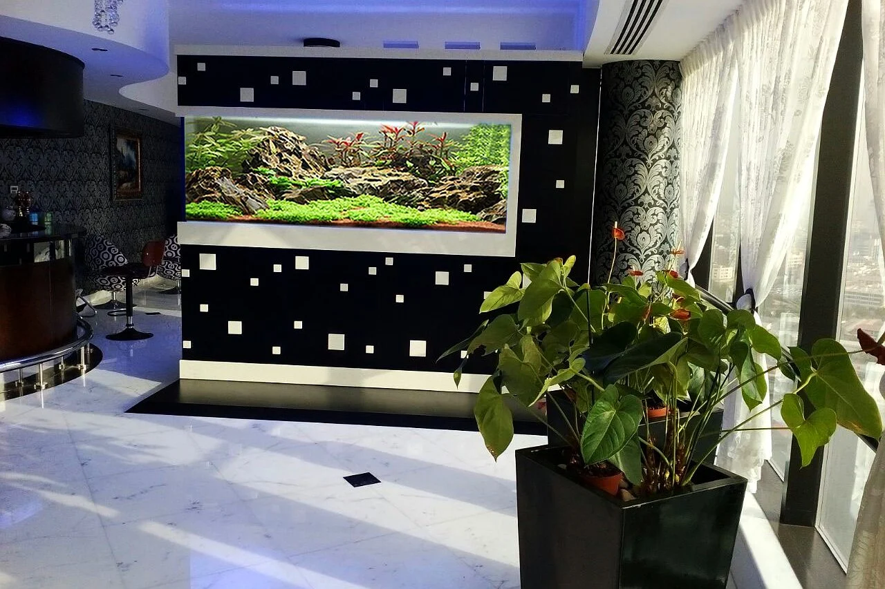 Nature-style planted aquarium in a modern entrance hall