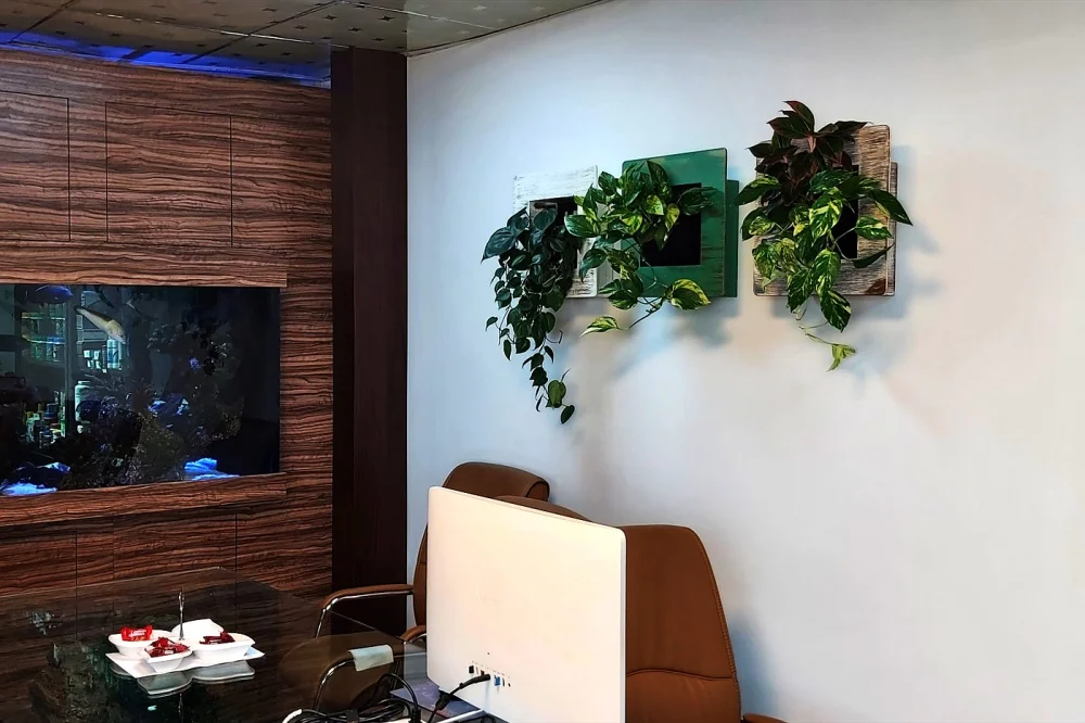 Green Wall Installation in Dubai: A Complete Guide for Offices & Hotels 1 Plant panels in a Dubai office