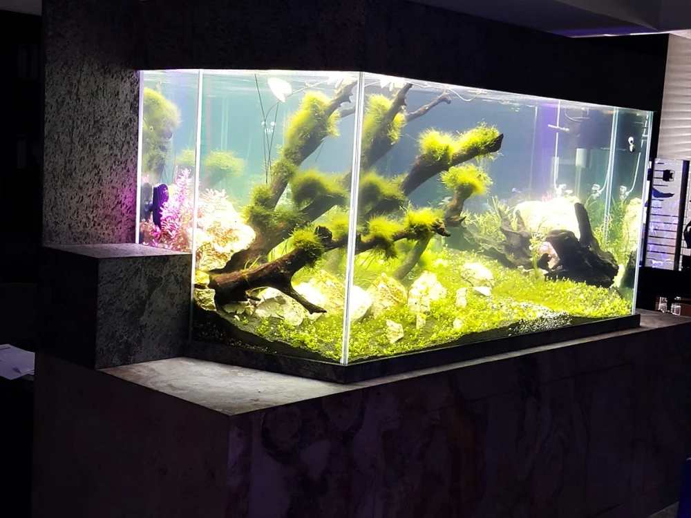 Aquarium LED Lighting Guide: Reef, Planted & Display 2 Planted freshwater aquarium on a stone cabinet