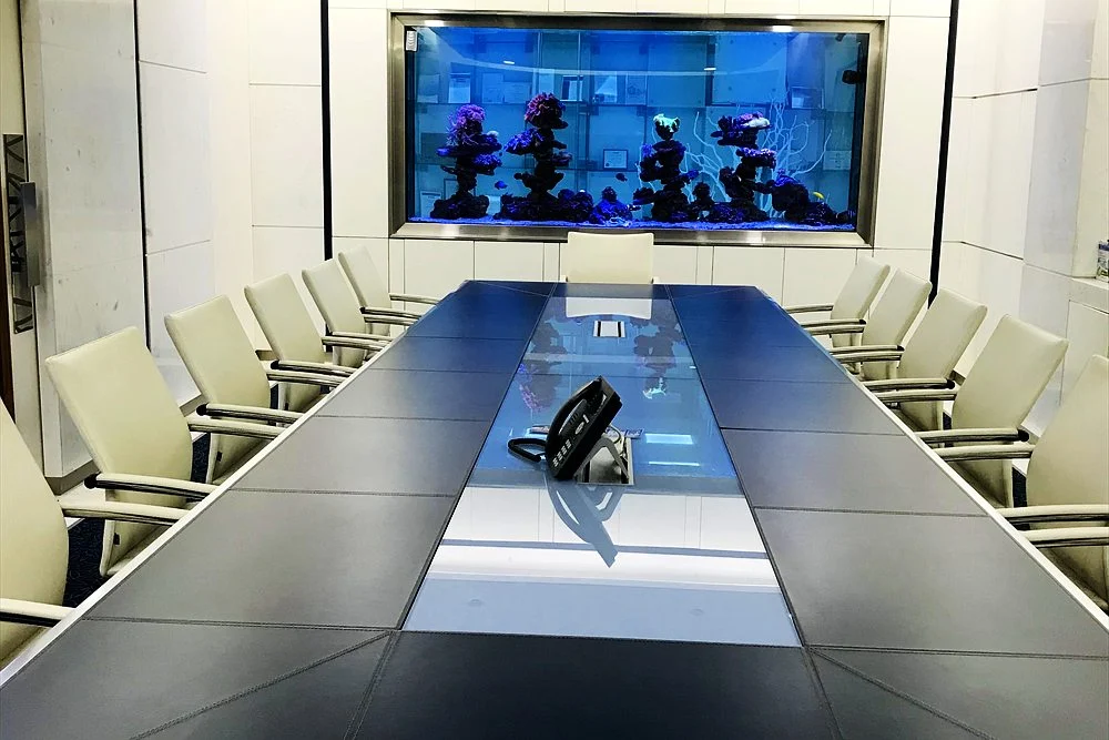 Office Aquariums in Dubai: Reception Design Ideas and What to Plan 2 Reception-style office with an aquarium feature wall