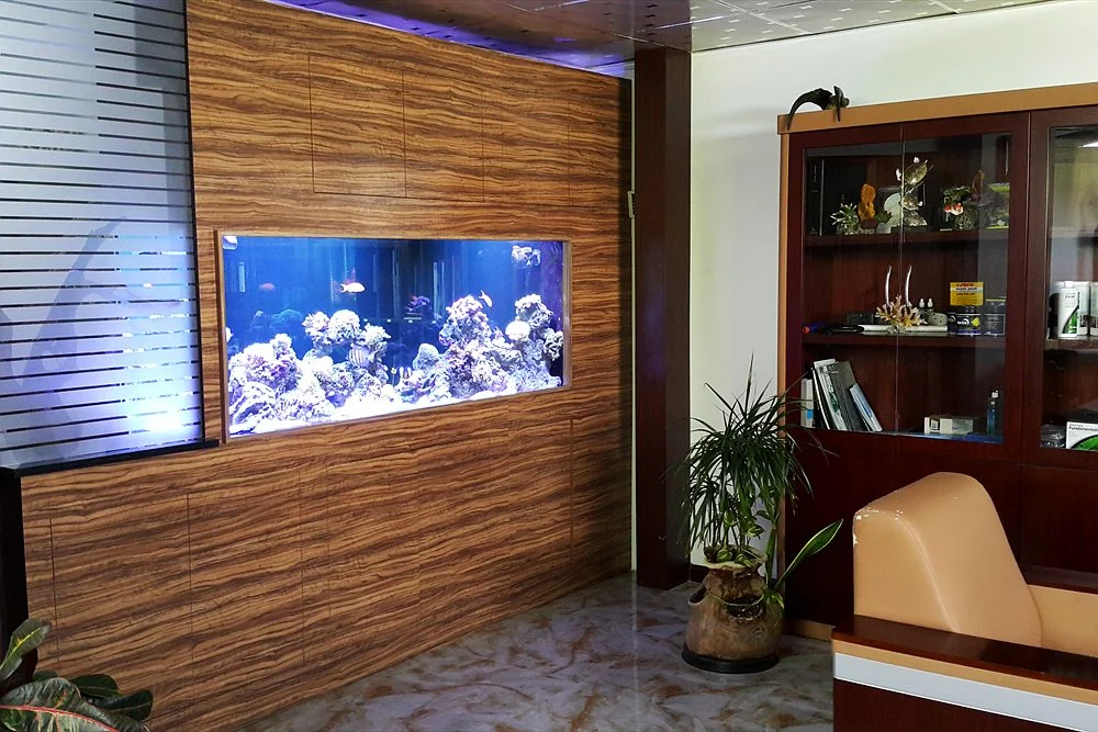 Cloudy or Green Aquarium Water: Causes and Fixes 1 Reef aquarium inside a timber-clad wall