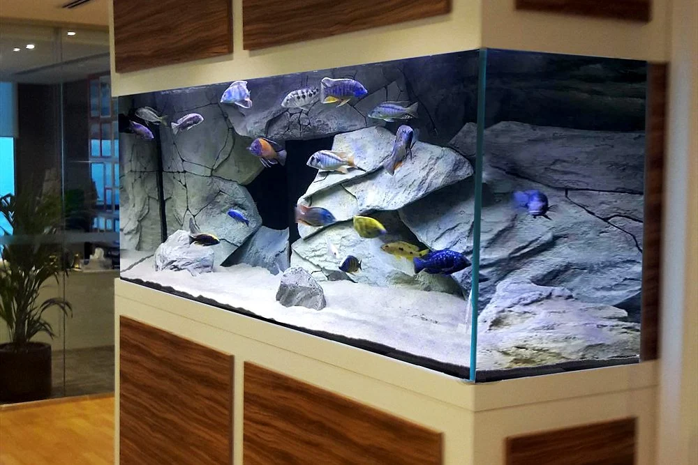 Aquascaping in Dubai: Planted and Rock Layouts for Freshwater Aquariums 2 Rock-scape freshwater aquarium on a timber cabinet