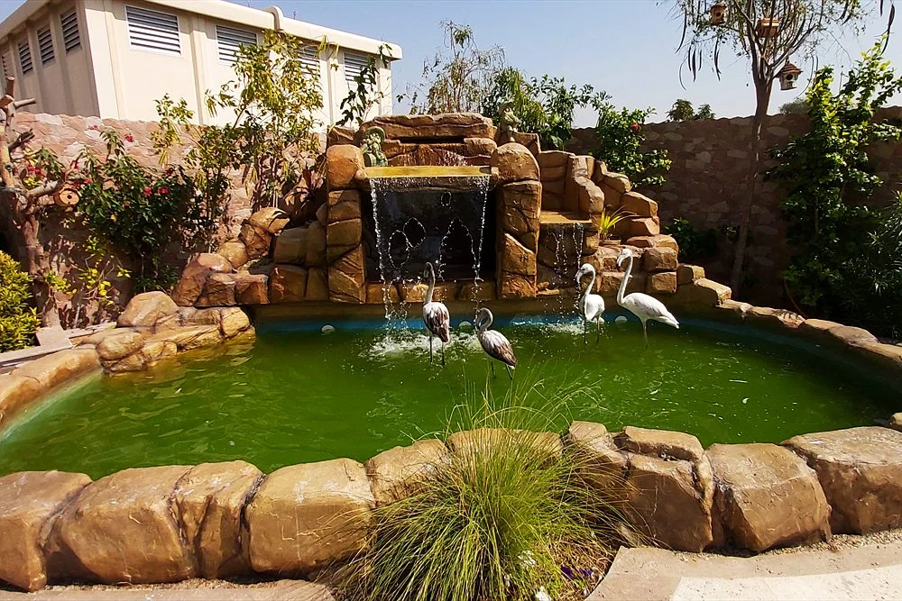 Koi Pond Cost in Dubai: Build Price and Running Costs 1 Rock waterfall pond in a villa courtyard