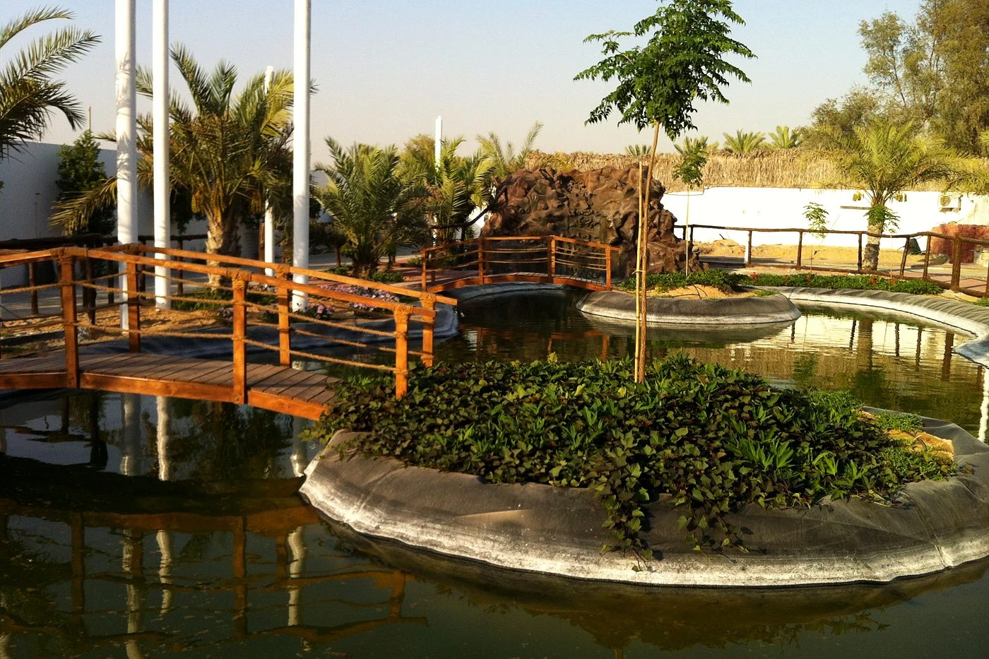 Sunny lake pond with a wooden footbridge in the UAE