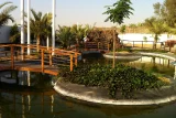 Koi pond maintenance in Dubai