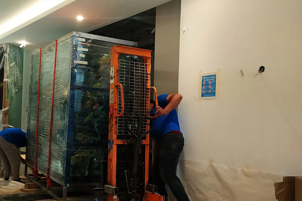 Custom Aquarium Installation Process in Dubai, Step by Step 1 Team positioning a large acrylic aquarium indoors