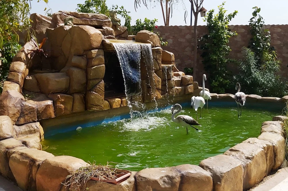 Koi Pond Maintenance in Dubai: Essential Summer Care for Extreme Heat 1 Villa pond with a rock waterfall