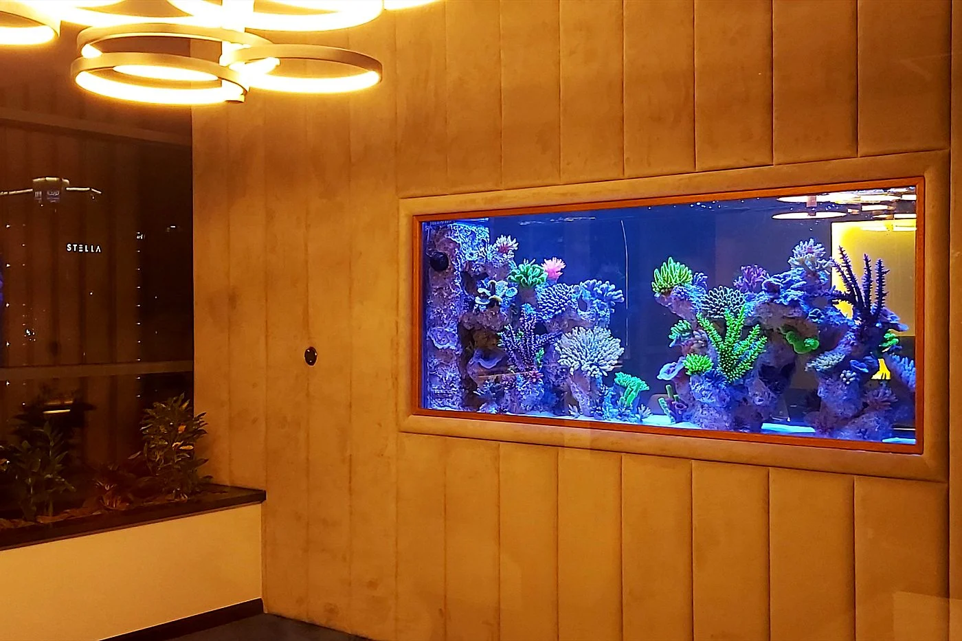 Wall aquarium inside an upholstered panel wall