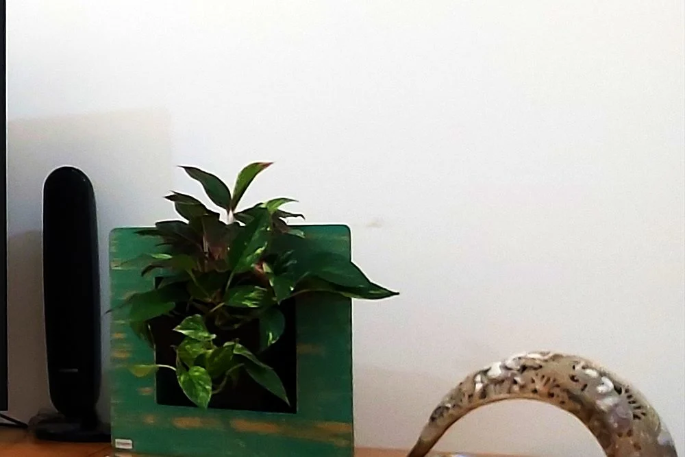 Living Wall vs Moss Wall vs Artificial Green Wall: Which Should You Choose? 2 Wall planter panel with a green frame in a living room